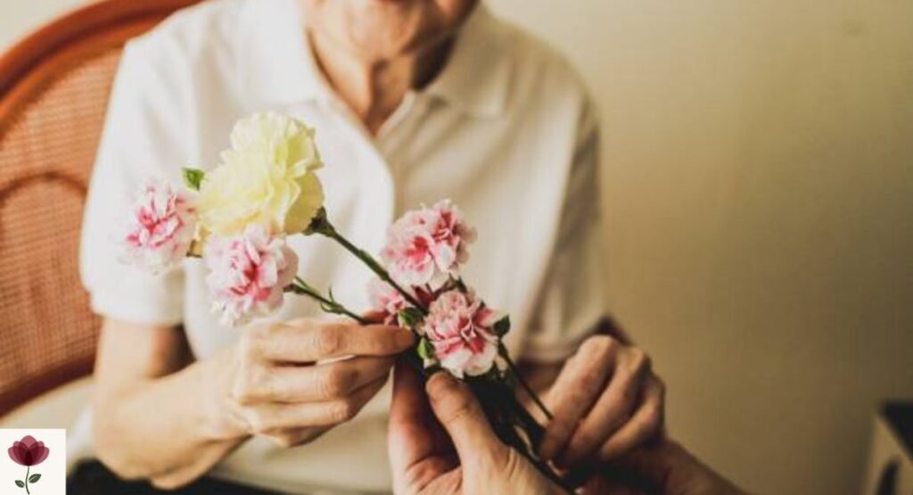 Carnation Flowers for Mother's Day